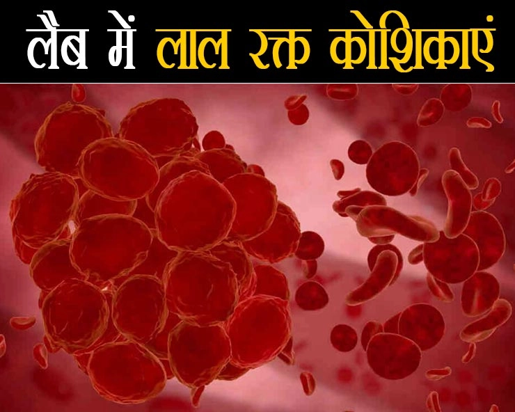 बड़ी सफलता, लैब में बने रेड ब्लड सेल दिलाएंगे आनुवंशिक बीमारियों से निजात - Blood Cells in Lab