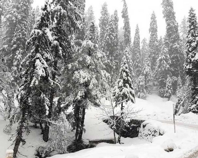 Weather Updates: उत्तराखंड में पहाड़ी इलाकों में जमकर बर्फबारी, मैदानी भागों में बढ़ेगी ठंड - Heavy snowfall in hilly areas of Uttarakhand