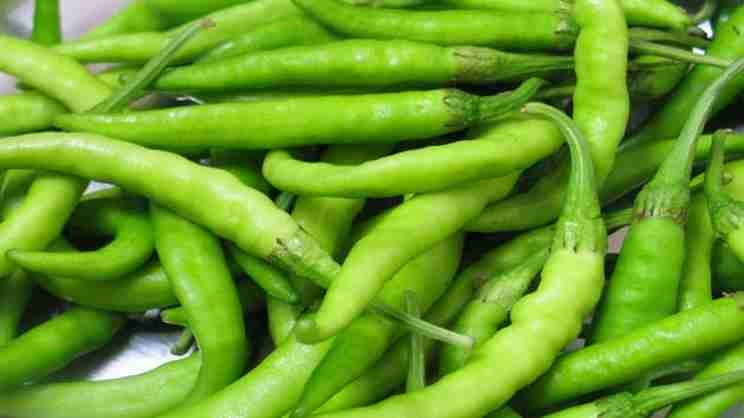 हरी मिर्च का भी है मजेदार इतिहास, जानिए भारत में कैसे आई थी हरी मिर्च? - History of green chili