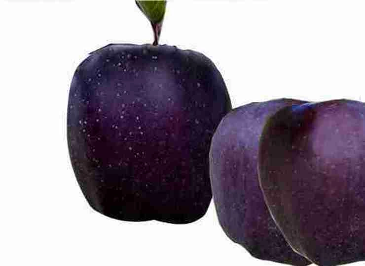काला सेब खाने के 13 फायदे जानकर हैरान रह जाएंगे - Health Benefits Of Black Diamond Apple