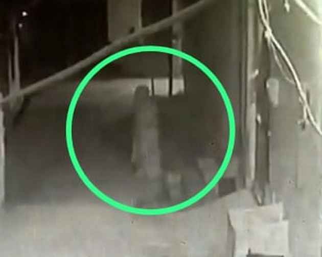 अलीगढ़ में 'भूत' बना चर्चा का विषय, वायरल हुआ वीडियो - Ghost became a topic of discussion in Aligarh