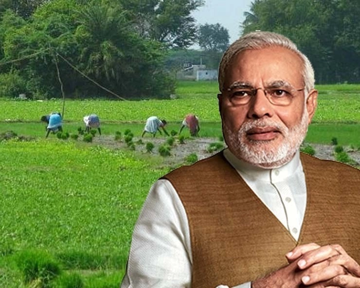 मोदी सरकार की किसानों को बड़ी सौगात, 13 फसलों पर बढ़ाई MSP - Modi cabinet increased MSP of 13 crops