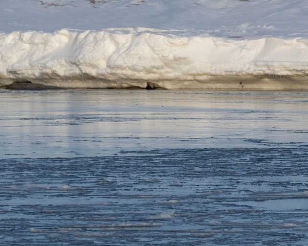 अंटार्कटिक में तेजी से पिघल रही बर्फ की चादर, दुनियाभर के सैकड़ों शहरों पर पड़ेगा यह असर - The ice sheet is melting rapidly in the Antarctic