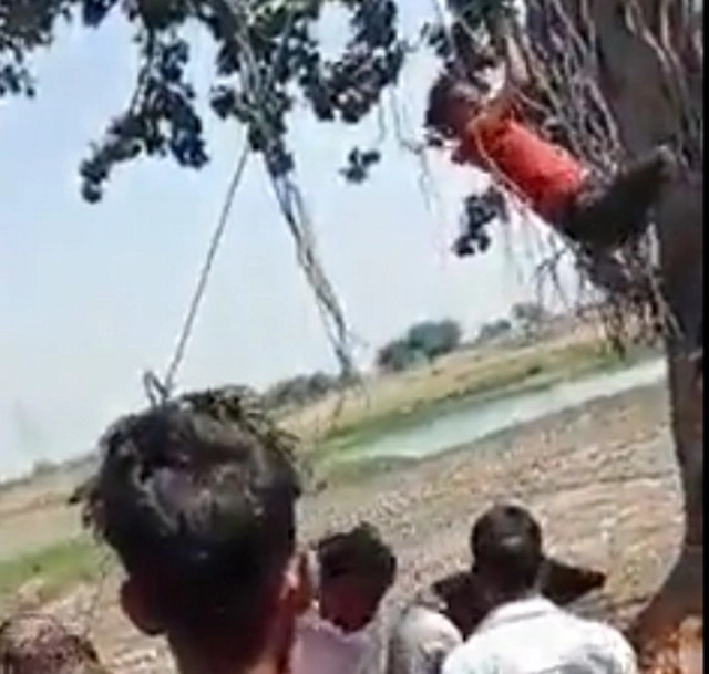 UP के फिरोजाबाद में तालिबानी सजा, चोरी के आरोपी युवक को पेड़ से लटकाकर नीचे लगाई आग