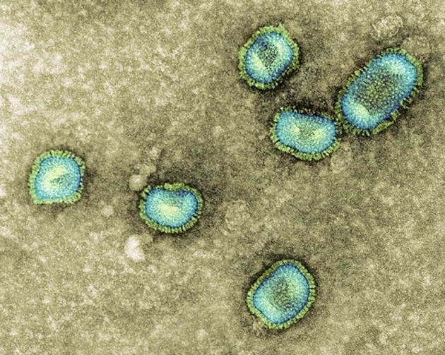 बार-बार एक ही विषाणु की चपेट में आने से बढ़ती है Immunity - Immunity increases due to repeated exposure to the same virus