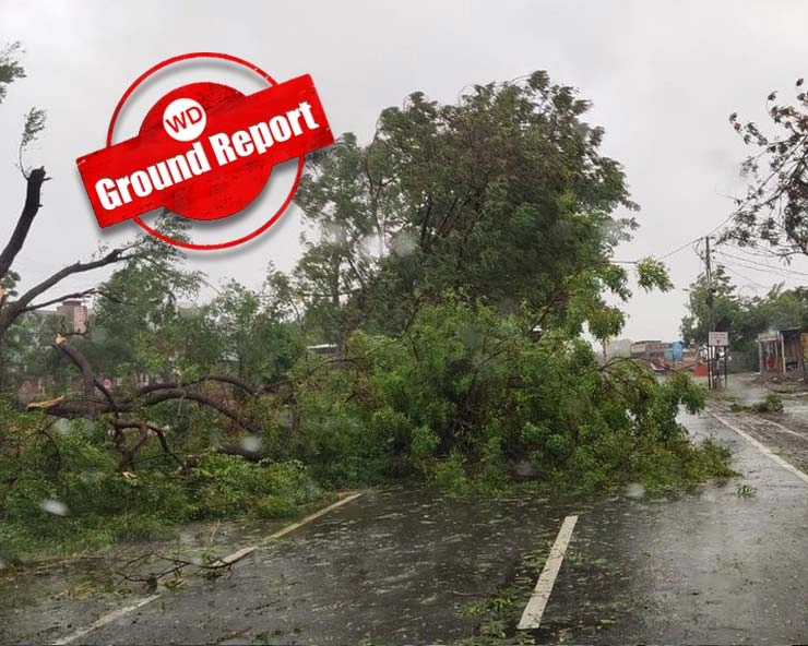 Cyclone Biporjoy Effect: तूफान की रफ्तार कम हुई पर खतरा बरकरार, गुजरात में 400 से ज्यादा पेड़ धराशायी - speed of the storm has reduced but the danger remains, more than 400 trees collapsed in Gujarat