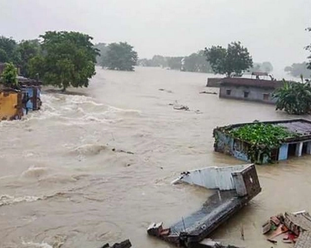Punjab Flood : पंजाब में बाढ़ से भारी तबाही, 2.40 लाख हेक्टेयर फसल को नुकसान - Paddy crop damaged in 2.40 lakh hectare area due to floods in Punjab