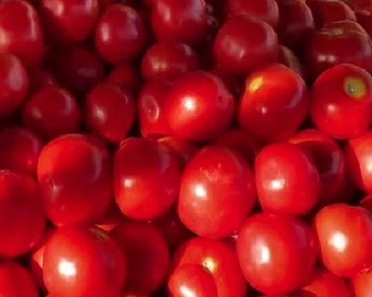 तेलंगाना के किसान ने 15 दिन में टमाटर बेचकर कमाए 2 करोड़ रुपए - Telangana farmer earns Rs 2 crore by selling tomatoes in 15 days
