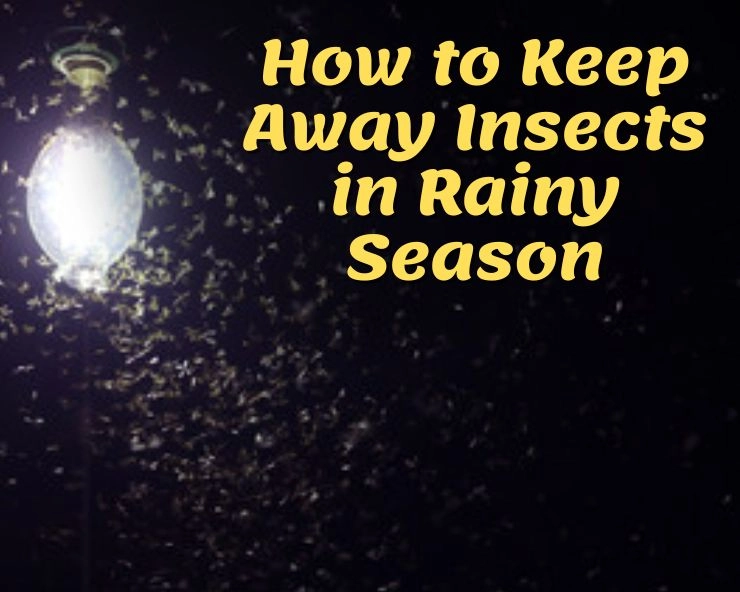 how to avoid insects in home