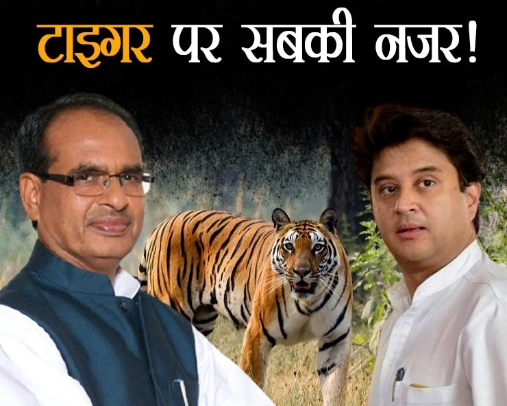 मध्यप्रदेश में 'टाइगर' पर टिकी नजर!, शिवराज ने 5वीं बार CM बनने की भरी हुंकार