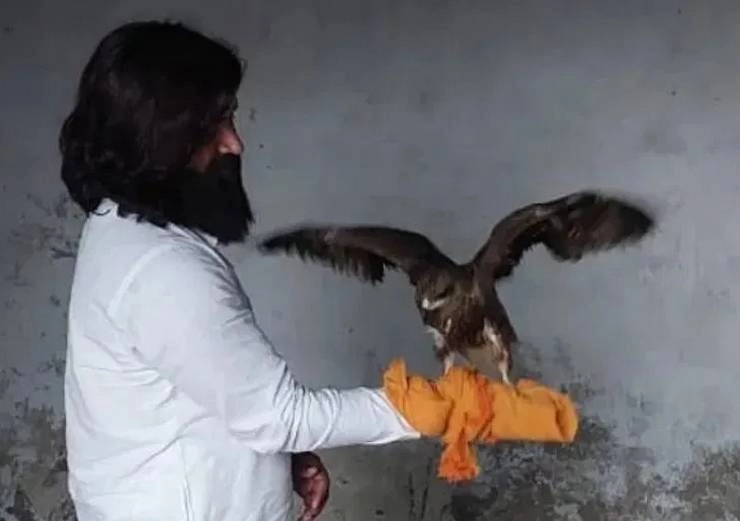 बाज बना आरिफ का नया दोस्त, वीडियो आया सामने, सारस से आए थे सुर्खियों में - arif new friend eagle after saras in amethi uttar pradesh