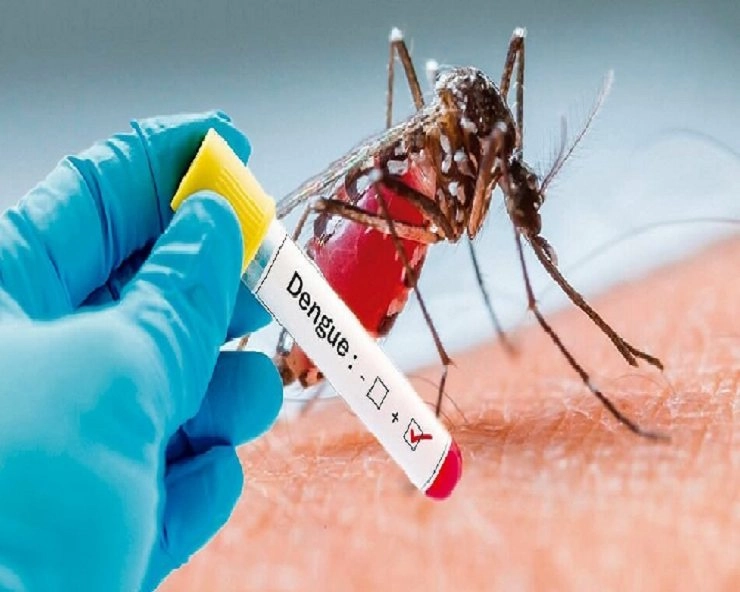 डेंगू निरोधक दिवस : जानें कारण, लक्षण, उपचार और सावधानियां - World Dengue Prevention Day 2023