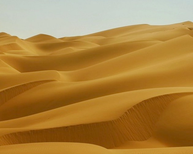थार रेगिस्तान हो सकता है हराभरा, अध्ययन में हुआ खुलासा - Thar desert can turn into a green area
