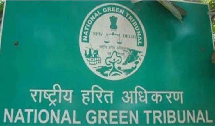 NGT ने दिया सीमा सड़क संगठन को उत्तराखंड में 10 हजार पेड़ लगाने का निर्देश - NGT directs BRO to plant 10,000 trees