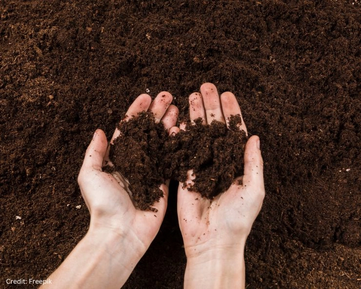 soil 