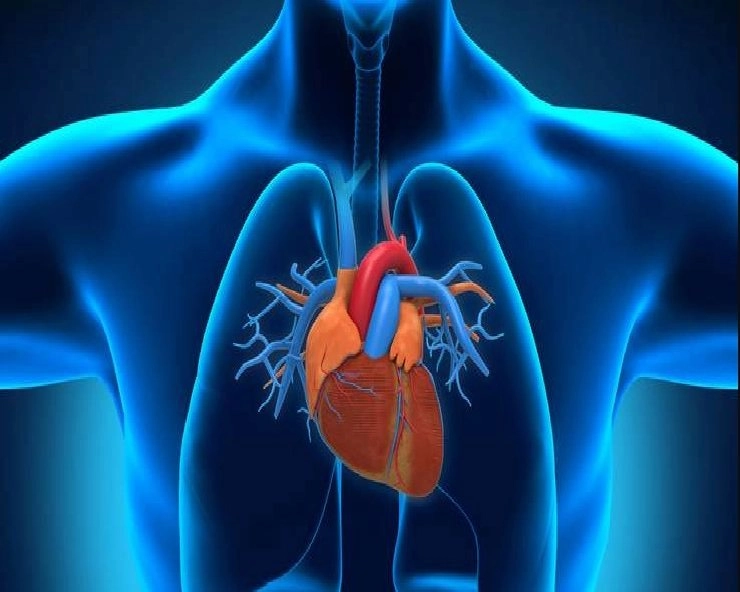 World Heart Day 2023 : इन 7 तरीकों से करें अपने दिल की देखभाल