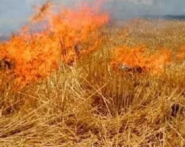 पंजाब में पराली जलाने की 2060 घटनाएं, हरियाणा के कई हिस्सों में वायु गुणवत्ता गंभीर श्रेणी में - 2060 incidents of stubble burning in Punjab