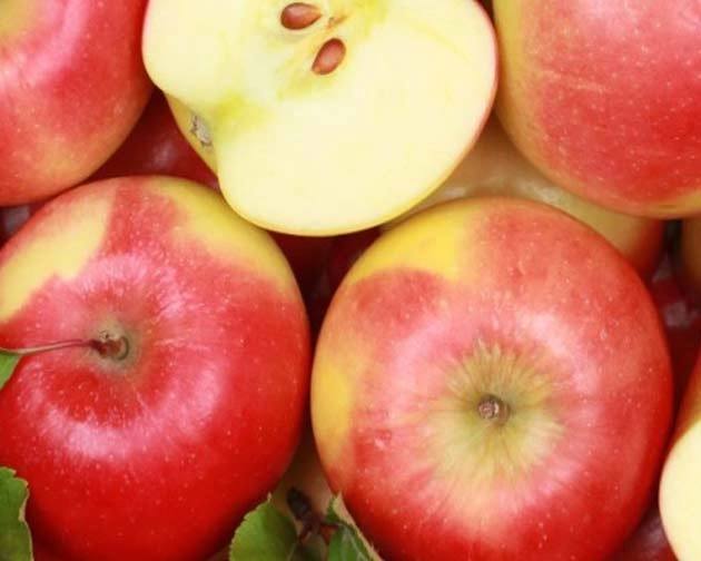 सफरचंद खाल्ल्यानंतर गॅसचा त्रास होतो का? 3 मुख्य कारणे जाणून घ्या