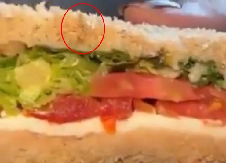 Indigo की दिल्ली-मुंबई उड़ान में यात्री को परोसे गए सैंडविच में कीड़ा मिला - IndiGo passenger finds worm in sandwich