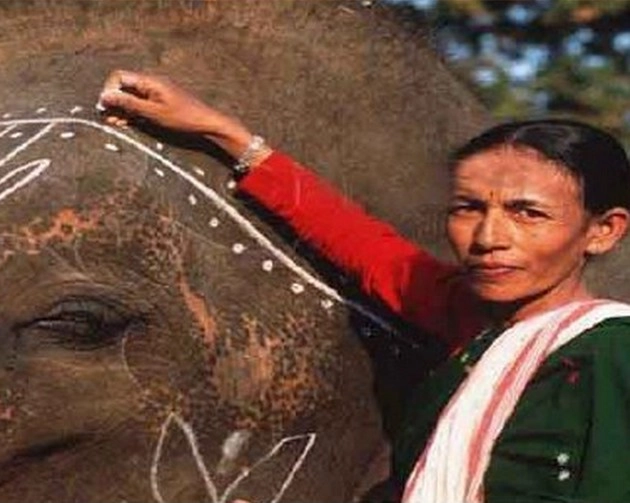 पद्मश्री से सम्मानित 34 गुमनाम नायकों में पहली महिला हाथी महावत भी शामिल - Country's first female elephant mahout honored with Padma Shri