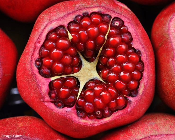 Pomegranate Side Effects