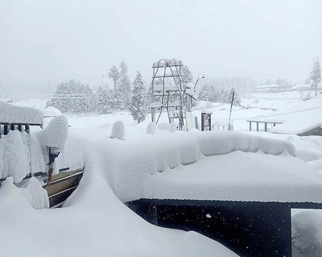 Weather Updates: श्रीनगर में मौसम की दूसरी बर्फबारी, क्या है हिमाचल का हाल?
