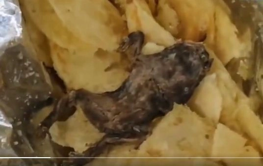 Frog Found in Chips Packet