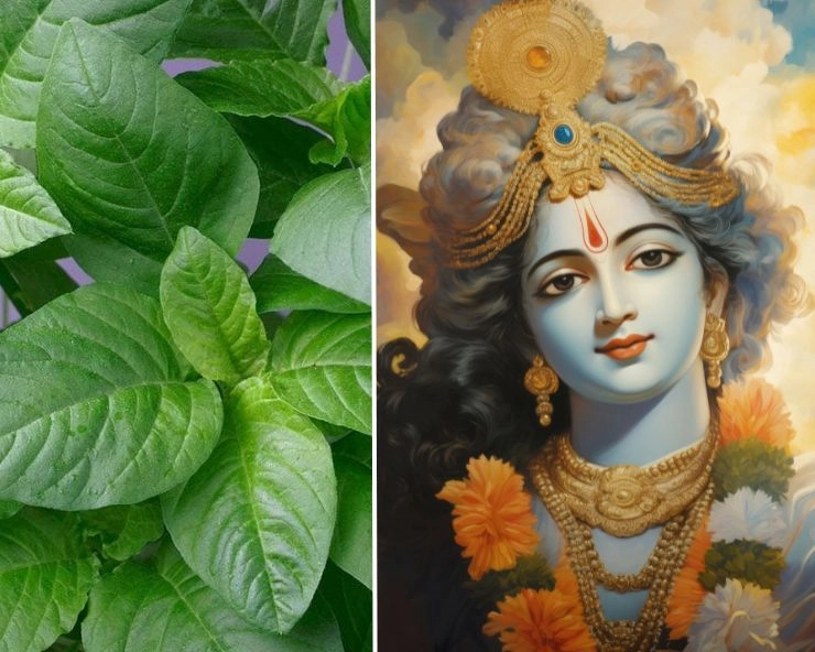 Lord Krishna Favourite Vegetable