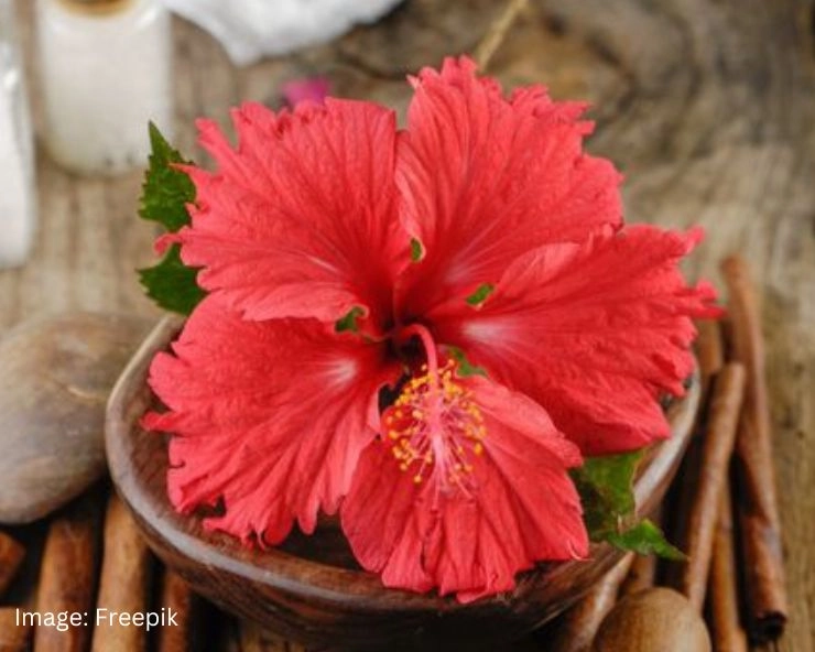 hibiscus conditioner for hair