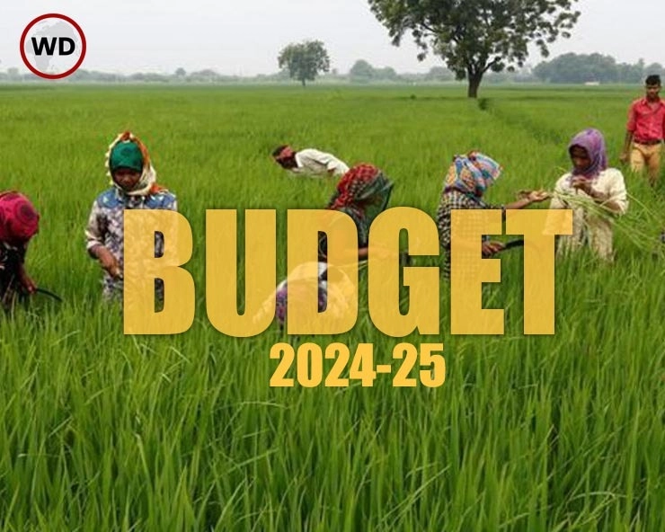 budget 2024-25