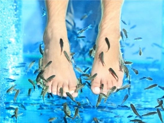 Side Effects of fish spa