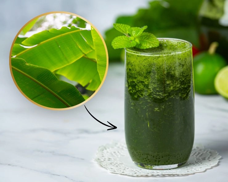 Banana Leaves Juice Benefits