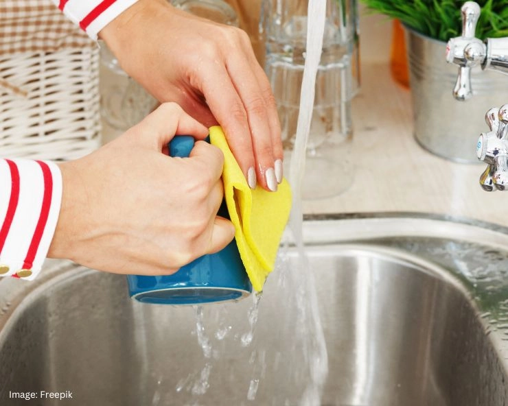 Dish Wash Scrubber