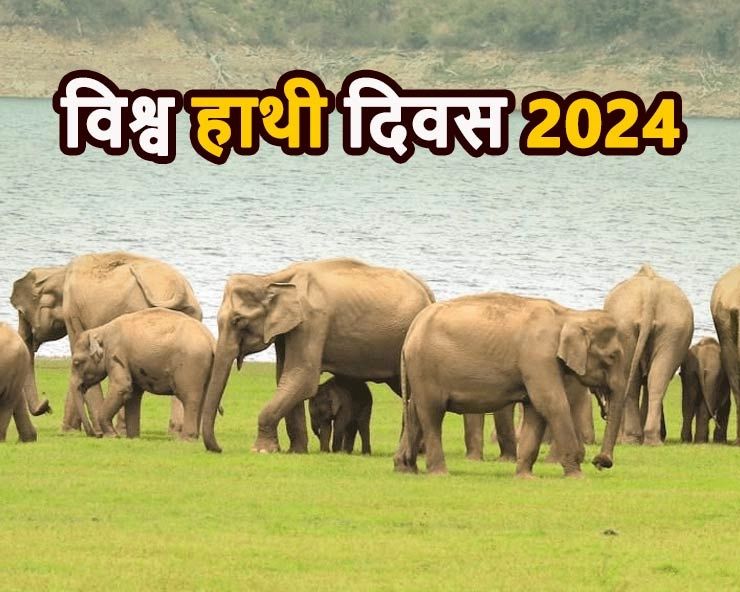 World Elephant Day 2024 : विश्व हाथी दिवस, जानें इतिहास, महत्व और साल 2024 की थीम