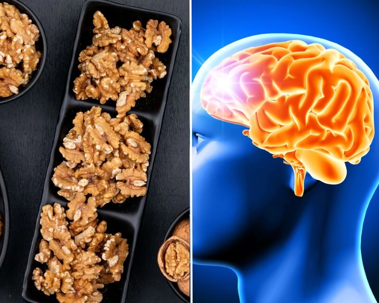 Walnuts Benefits For Brain