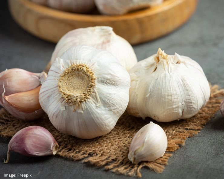 Garlic Health Benefits