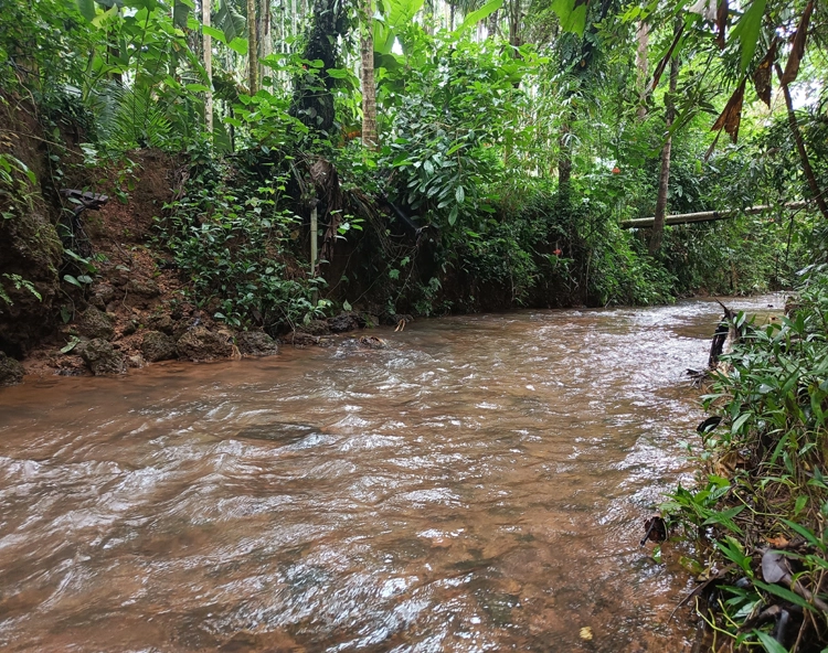 Bengaluru Rain