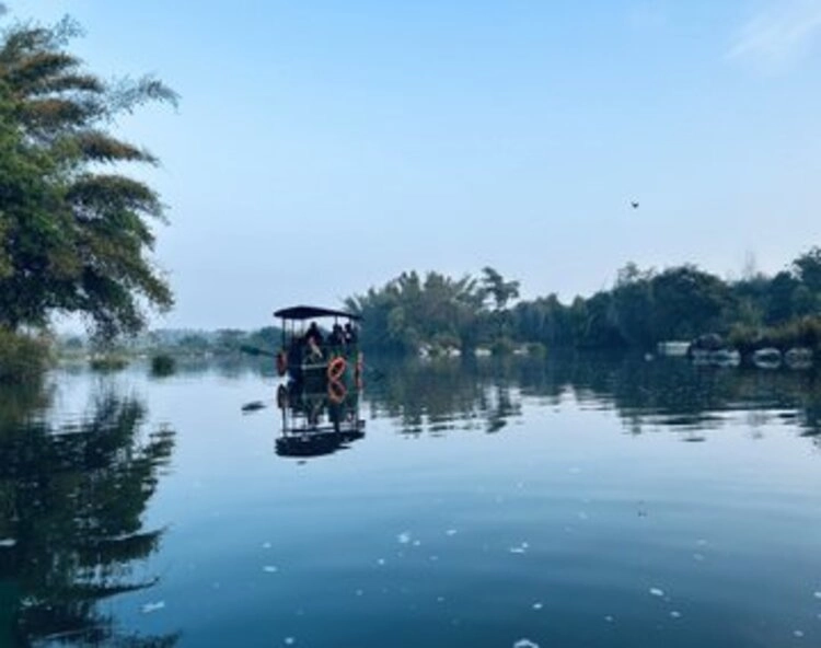 ಉಕ್ಕಿ ಹರಿಯುತ್ತಿರುವ ಕಾವೇರಿ: ರಂಗನತಿಟ್ಟು ಪಕ್ಷಿಧಾಮದಲ್ಲಿ ದೋಣಿ ವಿಹಾರಕ್ಕೆ ಬ್ರೇಕ್