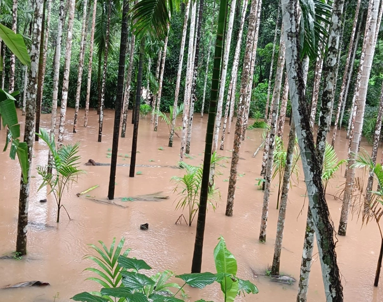 Karnataka Rain