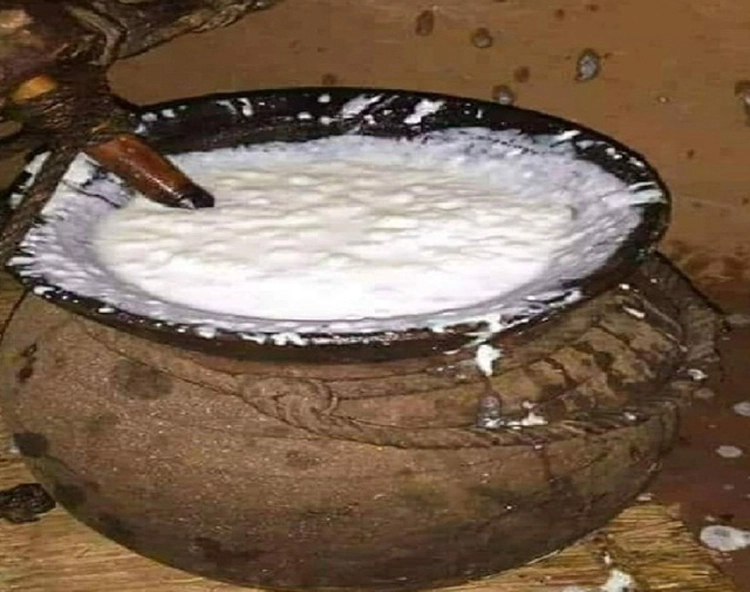 Curd