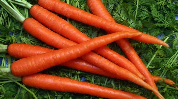 गाजर एक गुण अनेक, डोळ्यांपासून त्वचेपर्यंत मिळेल फायदा