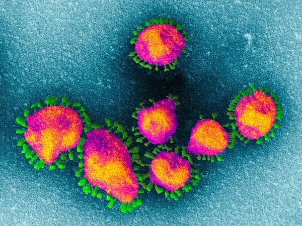 Langya Virus in China: ചൈനയില്‍ പുതിയ വൈറസ് കണ്ടെത്തി, 35 പേര്‍ക്ക് രോഗം !