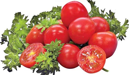 स्वाद आणि आरोग्याचा राजा : टोमॅटो
