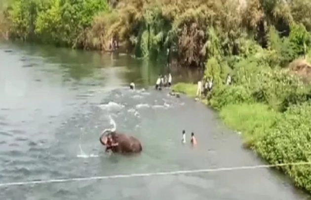 अहमदनगर : हत्तीचा 5 तास नदीतच ठिय्या