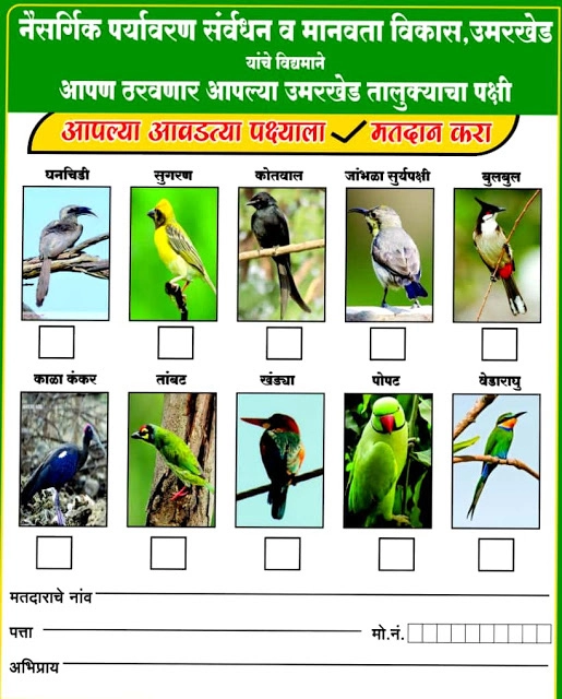मतदानाद्वारे गाव ठरवणार गावाचा पक्षी, १० पक्षी उमेदवार