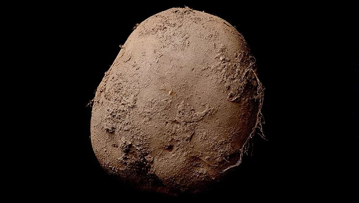 जगातील 'सर्वात मोठा' बटाटा