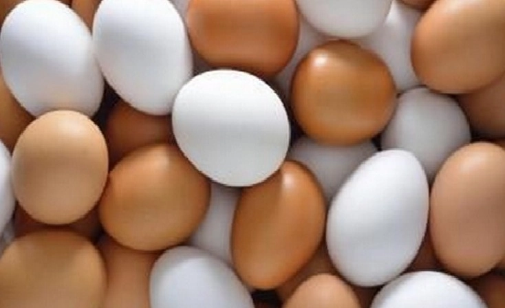 अंडे ताजे किंवा शिळे या प्रकारे ओळखा