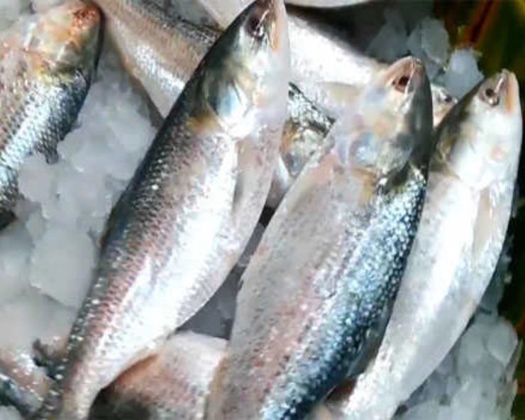 Home Remedies : मासे खाताना घशात काटा अडकल्यावर या गोष्टी करा