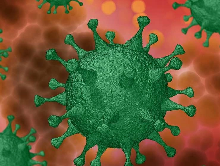 नव्या कोरोना व्हायरसचा भारतात शिरकाव