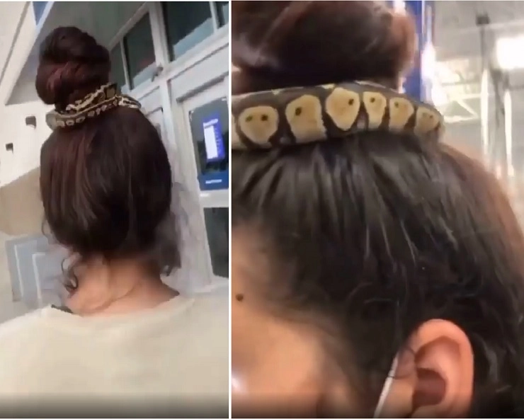 केसांमध्ये गुंडाळला साप VIDEO बघून हैराण व्हाल